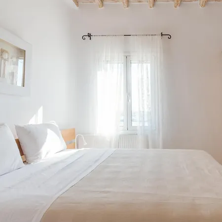 Your Mykonos X Whitelist 빌라