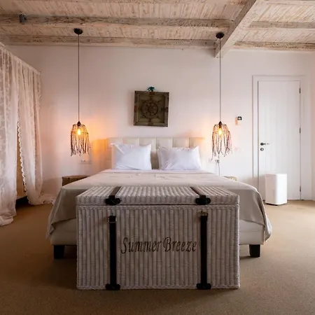 Villa Your Mykonos X Whitelist