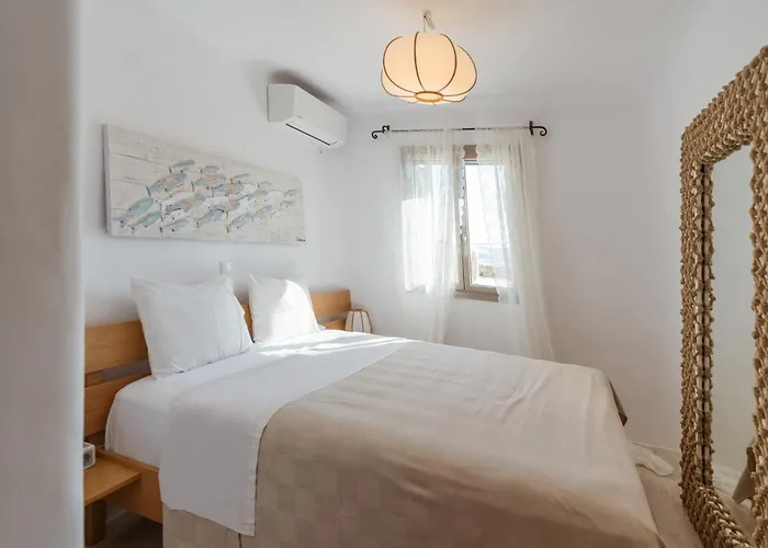 Your Mykonos X Whitelist Willa