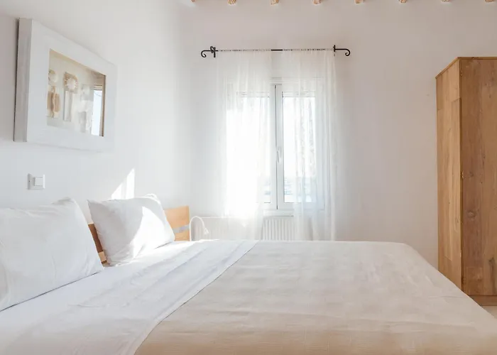 Your Mykonos X Whitelist Willa